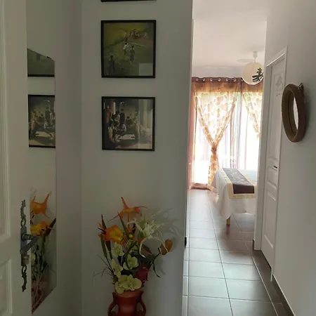 Bed & Breakfast D'hotes L'olivette Des Alberes