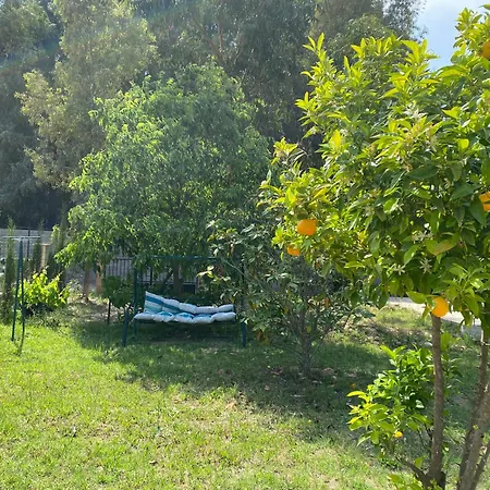 D'hotes L'olivette Des Alberes Saint-André