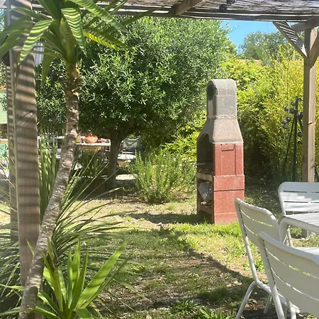 Bed & Breakfast D'hotes L'olivette Des Alberes Saint-André