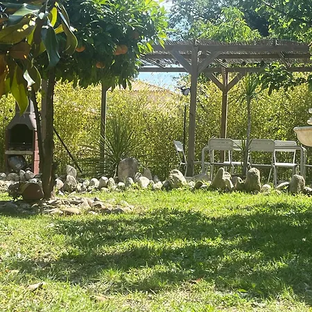 D'hotes L'olivette Des Alberes Bed and breakfast