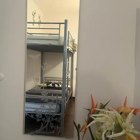 Bed & Breakfast D'hotes L'olivette Des Alberes