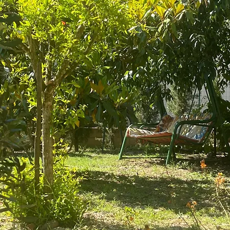 Bed & Breakfast D'hotes L'olivette Des Alberes