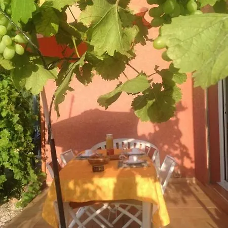 Bed & Breakfast D'hotes L'olivette Des Alberes Saint-André
