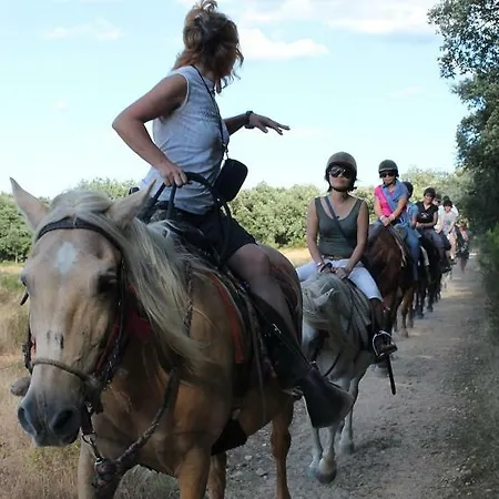 D'hotes L'olivette Des Alberes Bed & Breakfast *