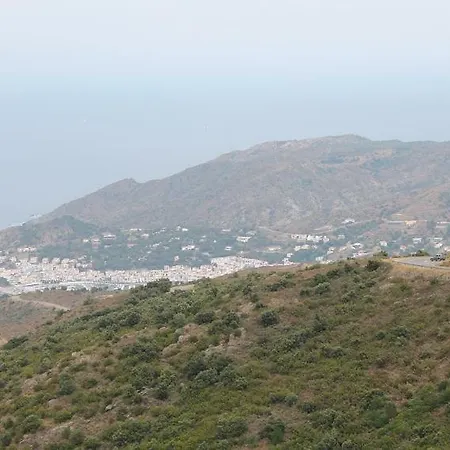 L'olivette Des Albères